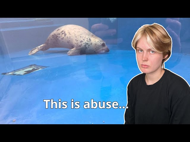 Japan's Mistreatment of Seals