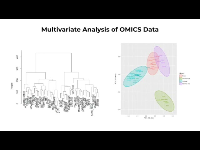 R/Python for Biomedical Data Analysis: Learn the syntax, practise the code & finalize your research