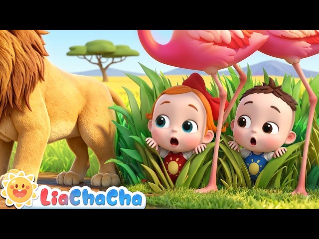 🔴LIVE | Baby vs. Lion Color Race 🦁 | Learn Colors with Wild Animals | Preschool Songs | LiaChaCha