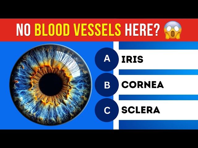 Can You Pass This Science Quiz? ‍🔬 General Knowledge Quiz Part 2