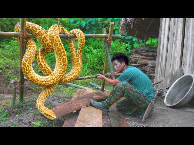 I Trapped a Giant Golden Python Dangerously Close to My Shelter! Solo Jungle Survival