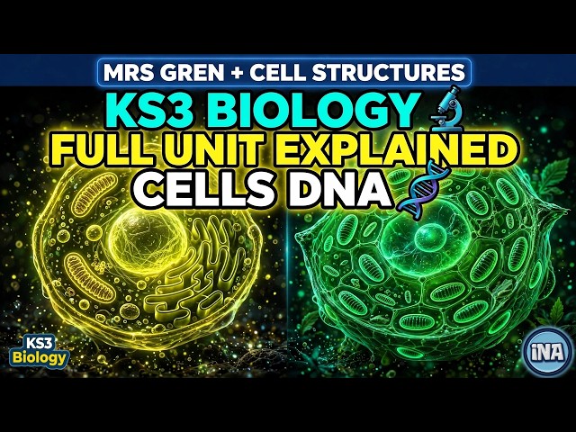 Cells | KS3 Biology