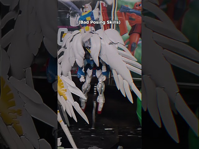 ✅Buy Gunpla ✅ Build Gunpla ❌ Pose Gunpla ✅ Display Gunpla #gunpla #gundam #funny #modelkit