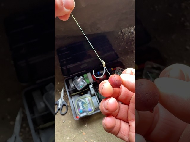 How to tie a hair rig! #everythingcarpfishing #fishing