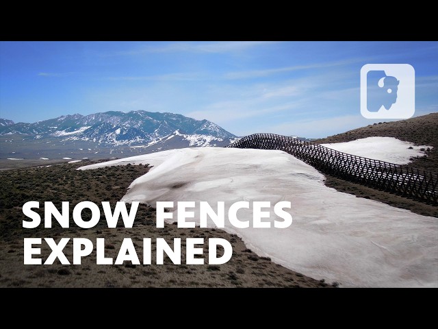 The Science and Strategy Behind Wyoming’s Snow Fences