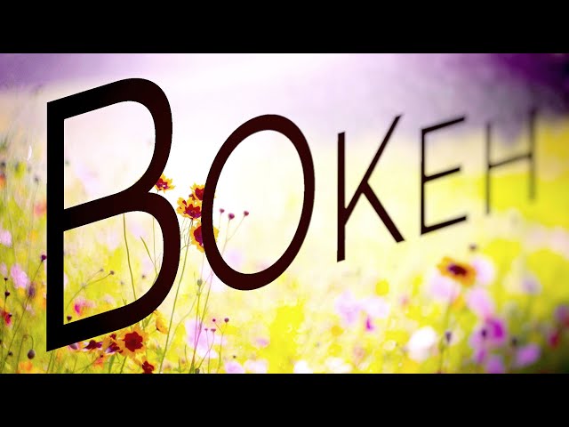 Bokeh. A definitive guide to some of the most fascinating effects in photography.