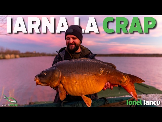 Secretele partidelor scurte la crap iarna - Gold Fish Lake - Ionel Iancu | MarelePescar