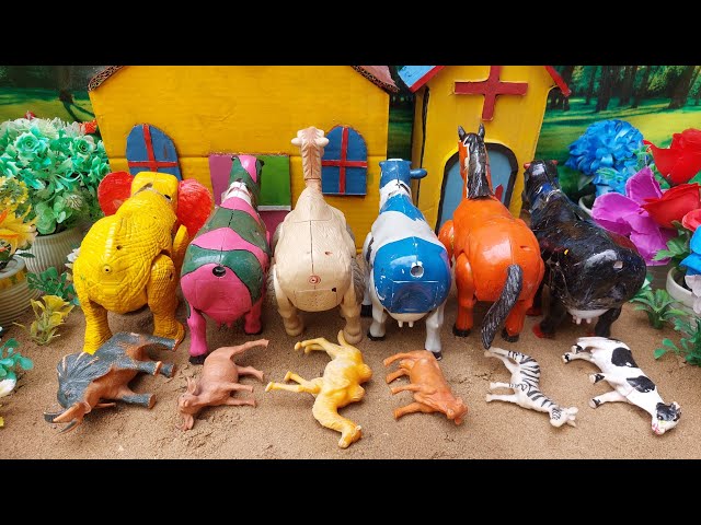 WADIDAU🤩💞‼️PROCESO‼️CORTE DE VACA🐄🦌🐫🐘‼️SACRIFICIO‼️Videos de vacas