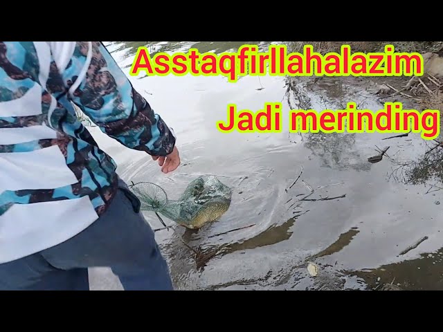 Mancing Di Spot Baru Jadi Merinding🥺🥺 // #mancingikanmas #mancingbareng // Kang Dewog Channel