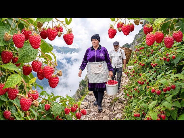 Elderly Couple's Risky Mountain Journey for Village Raspberries
