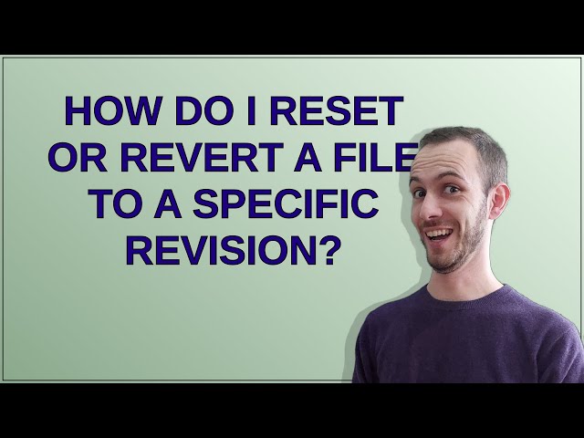 How do I reset or revert a file to a specific revision?