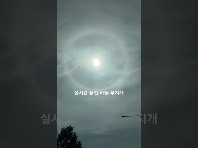 #울산 #무지개 #날씨 #하늘 #울산북구 #울산중구 #rainbow #어린이날 #드라이브