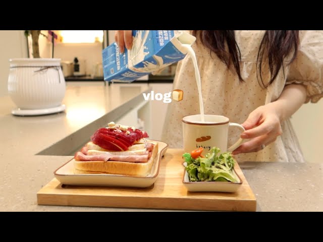 vlog | 집순이 삼시세끼 🏡 야식으로 라면 🍜 매콤한 해물찜과 날치알 주먹밥 만들고 브런치로 🍎 브리치즈 샌드위치, 도시락으로 가지덮밥, 계란참치전 만들며 보낸 일상