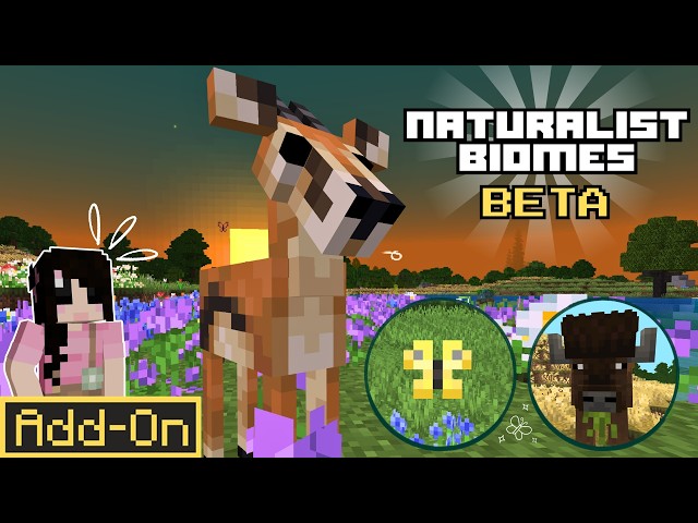 🦋 ¡MÁS biomas hermosos! | Add-On de biomas Naturalist BETA