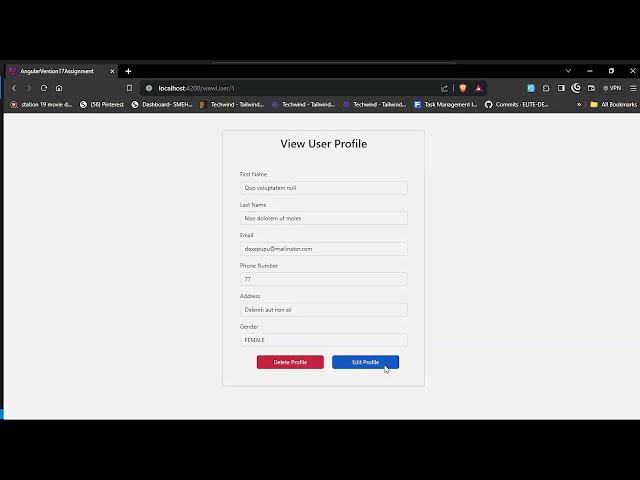 MIni Angular Project Using Crud Operations