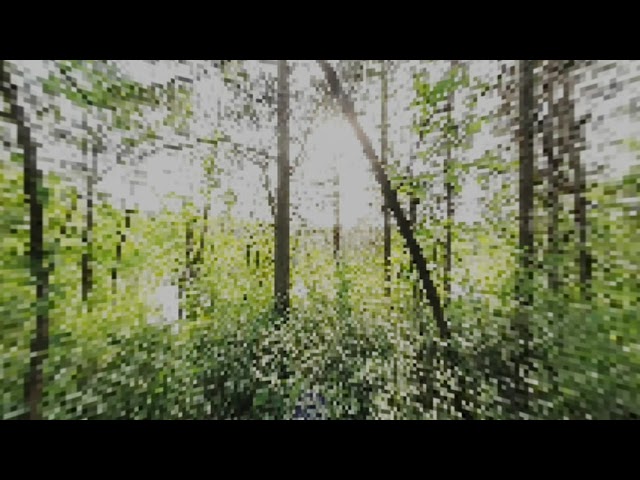 glitch pixels stationary