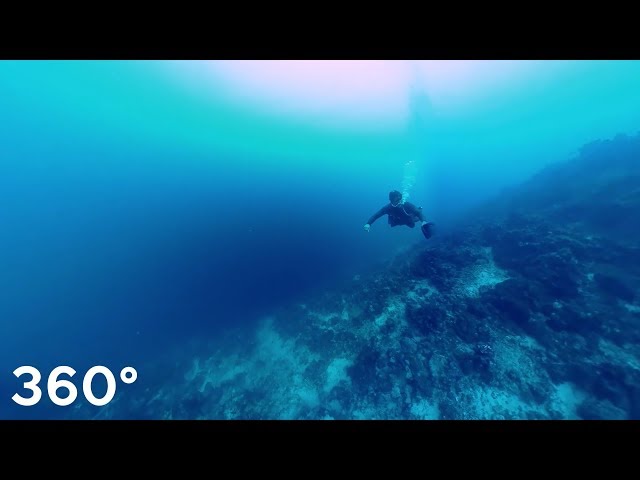 Mactan Cebu dive site "OLANGO" scuba diving look around!! 360° VR