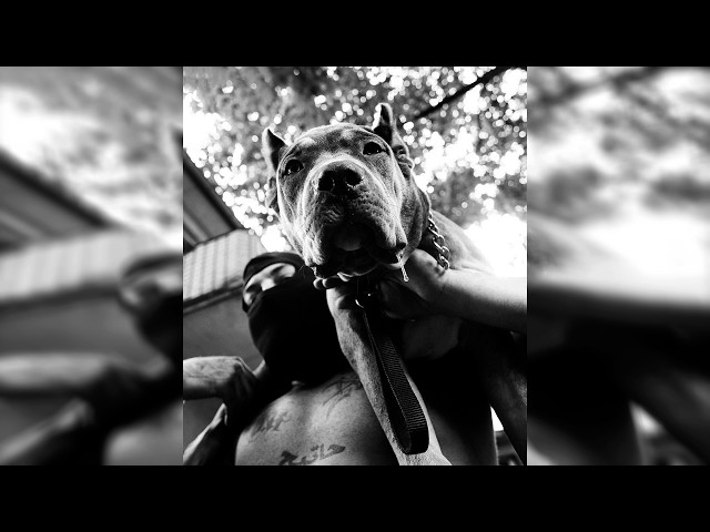 Freestyle Boom Bap Beat | "CHECK IT" | Underground Boom Bap Instrumental Uso Libre | Prod.XXB