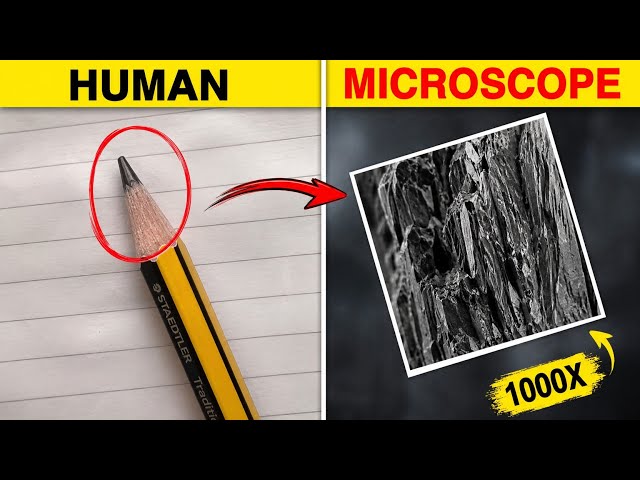 Ordinary Things Under a Microscope Look INSANE! 🤯