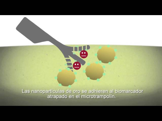 Nanosensores biológicos que pueden detectar el cáncer