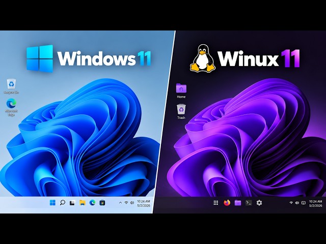 Winux 11 Setup Guide: Everything You Need to Know