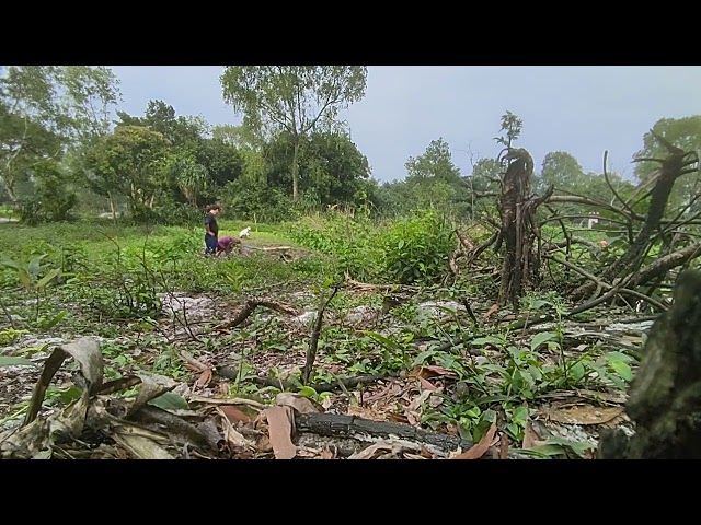 Exploring the Simple Pleasures of Rural Life