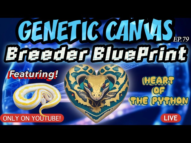 GENETIC CANVAS- HEART OF THE PYTHON, BREEDER BLUEPRINT- EP79 IS MONARCH STILL UNDERRATED?