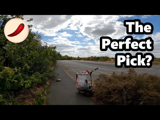 Tied up in this 💶  |  Litter picking ep.252