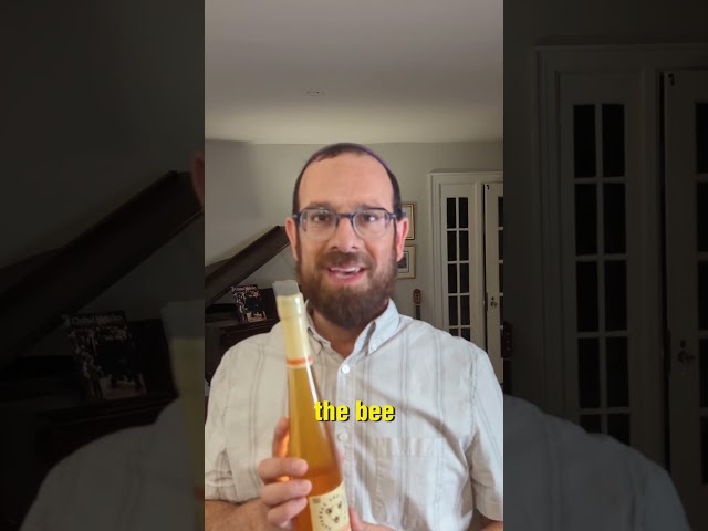 why do Jewish people dip stuff in honey on Rosh Hashanah? The answer you did not know...