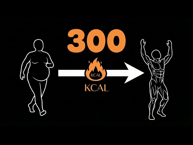 Immersive Interactive Warm Up FULL VERSION 🎮  30 Minutes Full Body ≈300 Calories