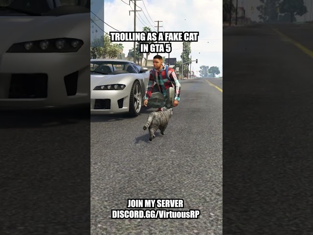 Trolling as a Fake Cat in GTA 5 #gtaonline