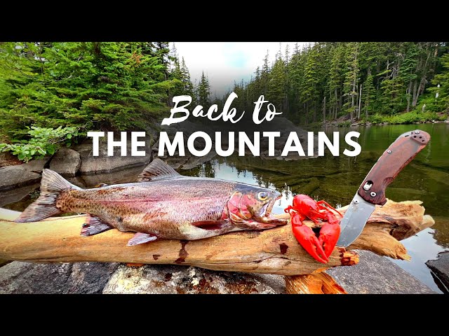 GIANT TROUT Fishing & SOLO Camping!!! (Catch & Cook Movie)