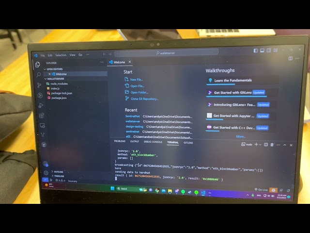 SentinelNet Demo