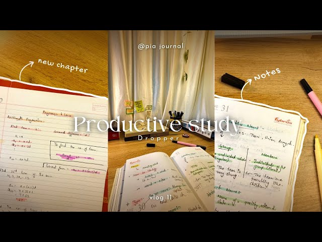IPMAT Study Vlog 📝 | increasing Productivity 📑 | Journey to IIM | 11