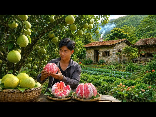 Living in the Forest, Gardening, Harvesting Giant Pomelos to Sell at the Village Market