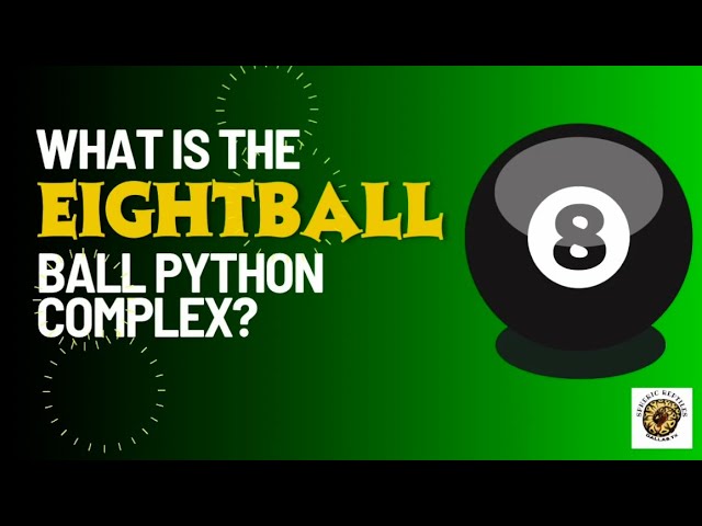 What is the 8-Ball Ball Python Complex? #ballpython #snake #ballpythonmorphs #pets
