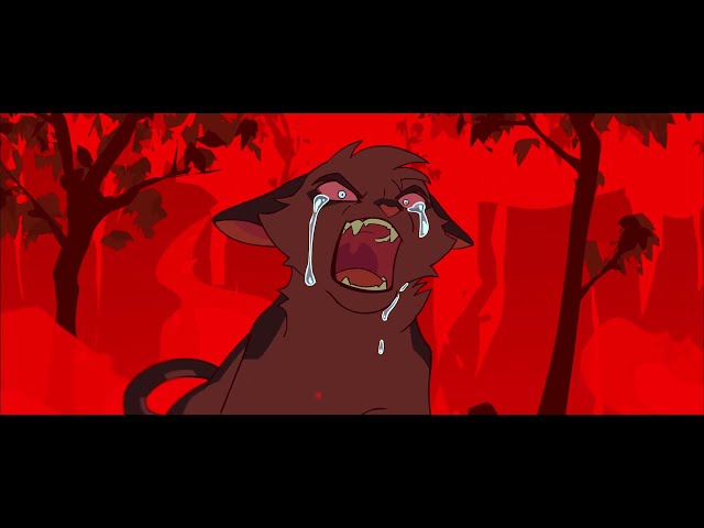 RORY - Ashfur MAP -  Part 13