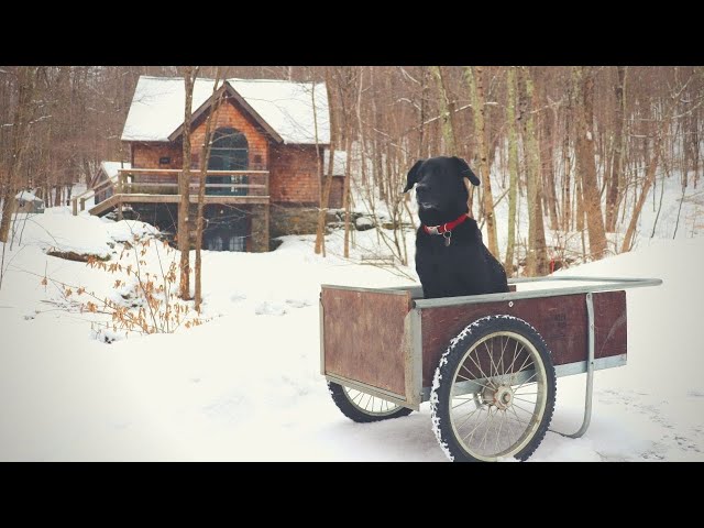 Every Cabin Needs One of These