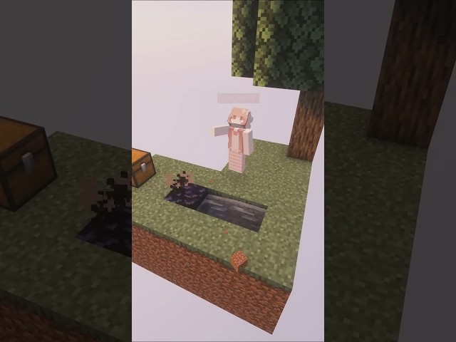 This Minecraft Skyblock Server Is EXTREMELY Fun #skyblockserver #minecraftserver