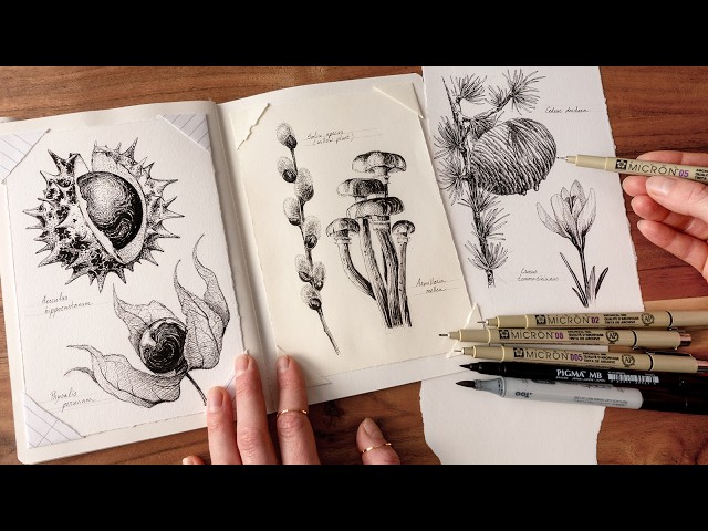 Just inking botanicals ✒️ (no music, no talking)