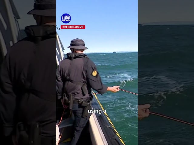 The underwater robots catching drug cartels | 9 News Australia