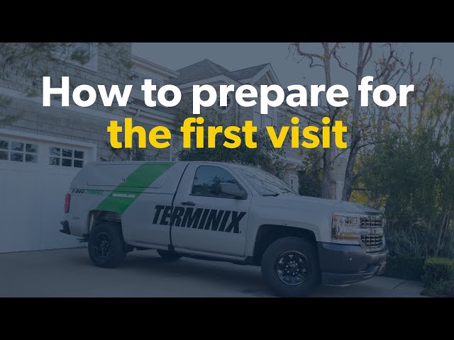 Welcome to Terminix: How to Prepare for Your First Visit