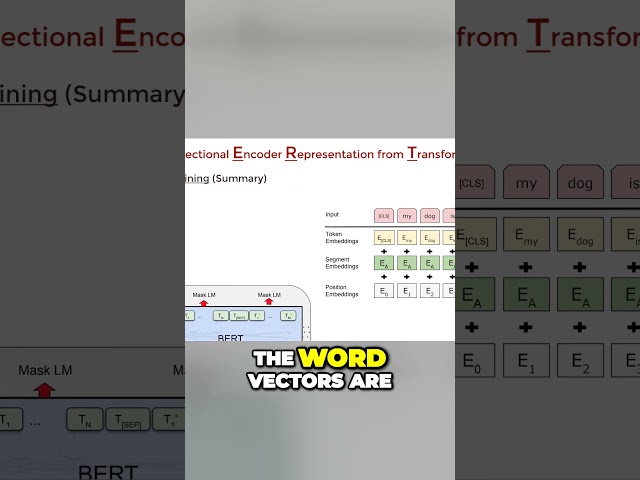 BERT Pretaining in Detail #deeplearning  #machinelearning