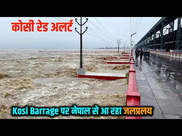 Kosi Barrage पर नेपाल से आ रहे जलप्रलय को देखकर आप डर जाएँगे आप | Kosi Flood 2024 | Way4U