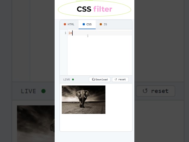 CSS Filter Property #coding #htmltutorial #csstutorial