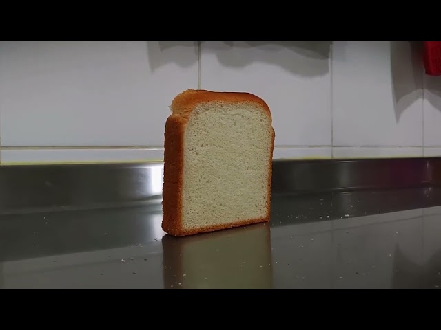 500 SUBSCRIBERS SPECIAL! 🥳 Bread Falling Over 😂 Thank You Everyone ❤️