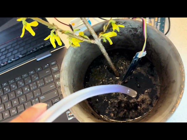 EECS 1021 Minor Project