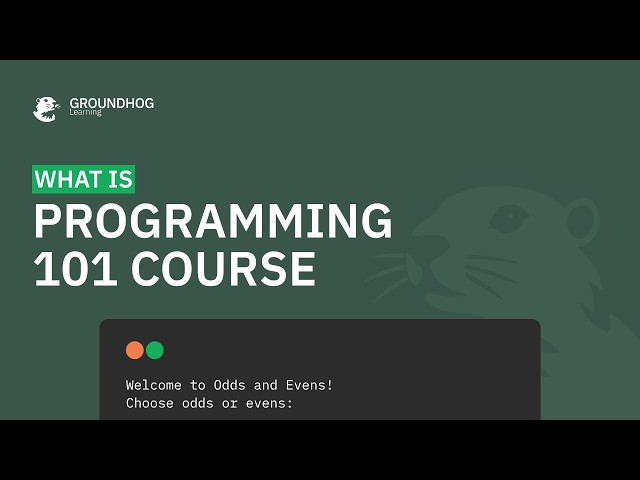 What is the Programming 101 Course