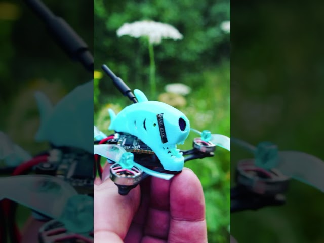 #FPV #HGRLC #cnhl #caddfpv #drone #life #justRAW