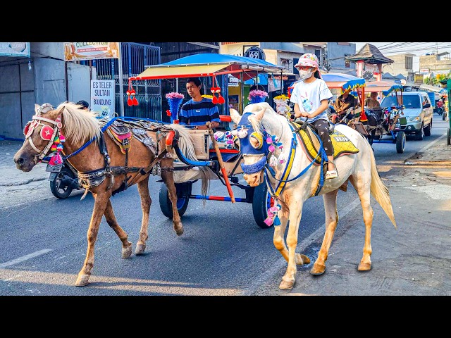 THE SPECIAL HORSE-DRAWN CARRIAGE SONG 🐴 Indonesian Children's Song | Happy Horseback Riding